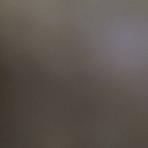 Meet your Posher, Eva